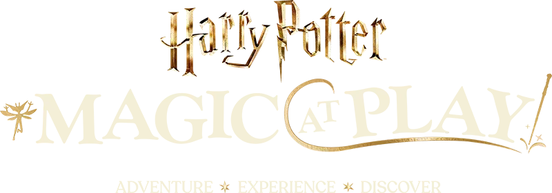 Harry Potter Experience: Magic at Play